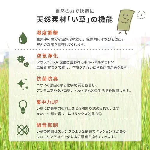 【メーカー直送品】萩原 【9枚組】置き畳 綾川 約82×82×2.5cm ナチュラル_3