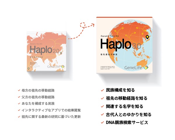 祖先を調べる遺伝子検査キットHaplo3.0 国立遺伝学研究所監修 / DNA親族検索付