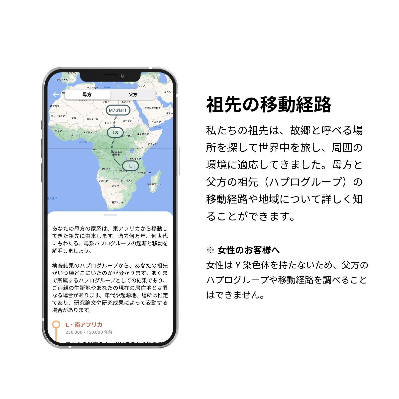 祖先を調べる遺伝子検査キットHaplo3.0 国立遺伝学研究所監修 / DNA親族検索付
