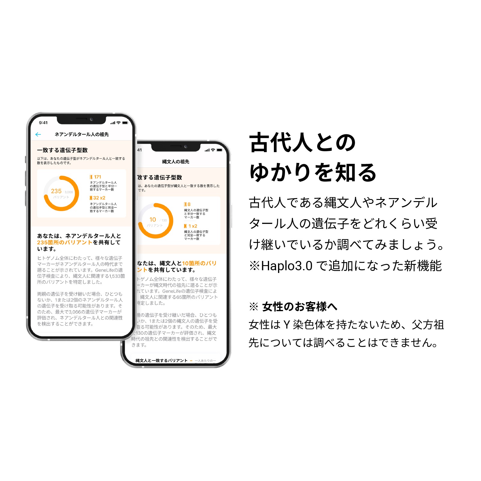 祖先を調べる遺伝子検査キットHaplo3.0 国立遺伝学研究所監修 / DNA親族検索付