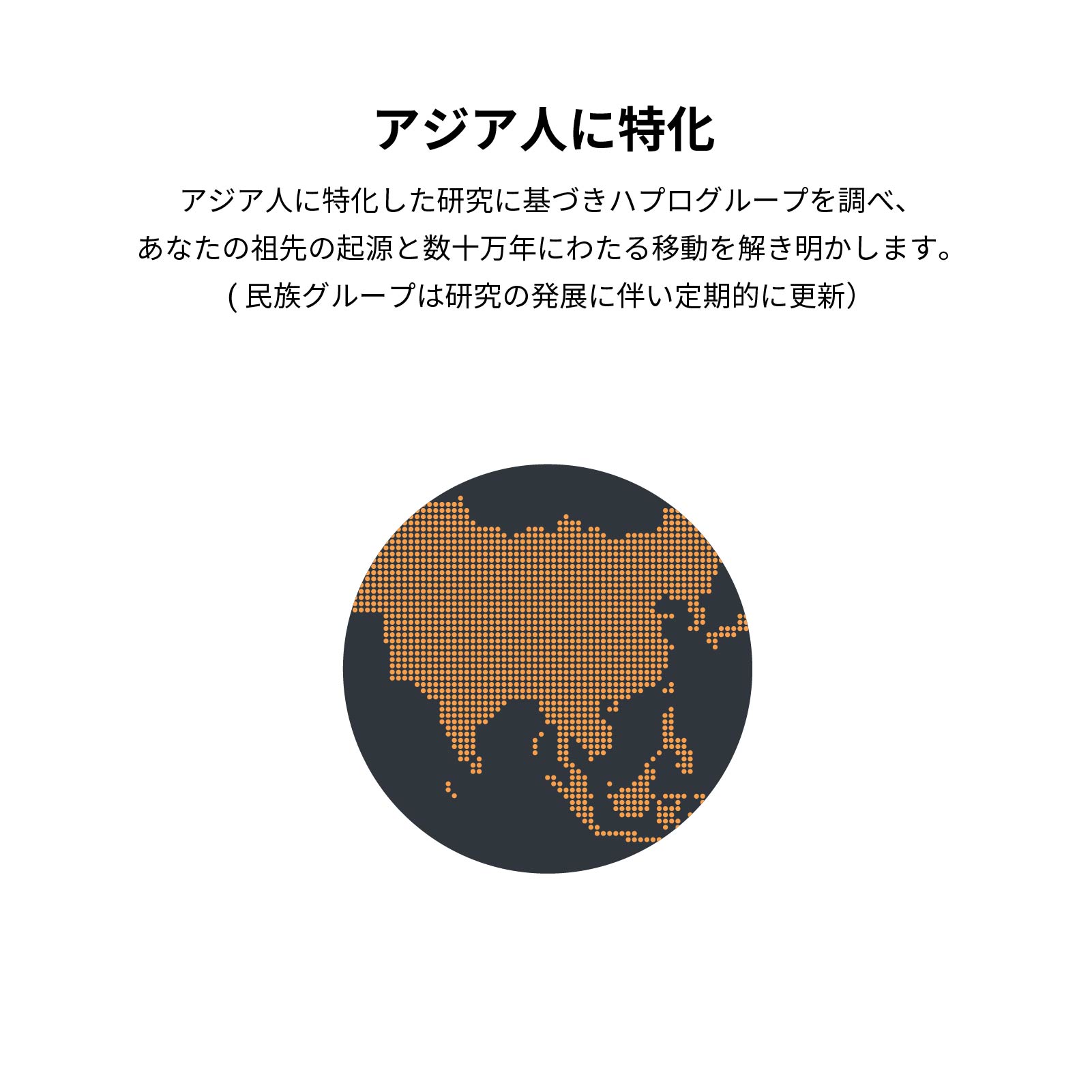 祖先を調べる遺伝子検査キットHaplo3.0 国立遺伝学研究所監修 / DNA親族検索付