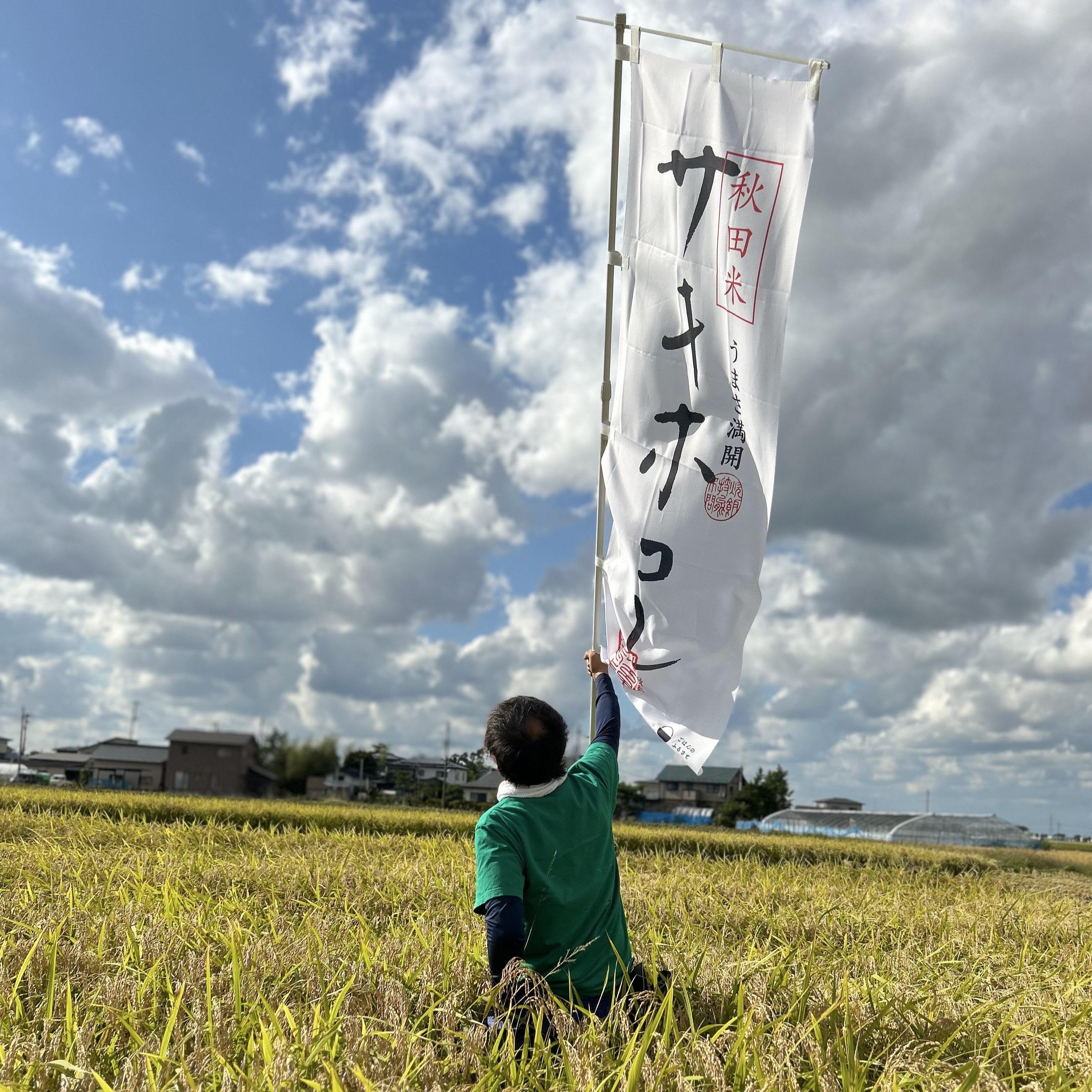 Qoo10] 水菜土農園 新米 あきたこまち 胚芽米 10kg(5