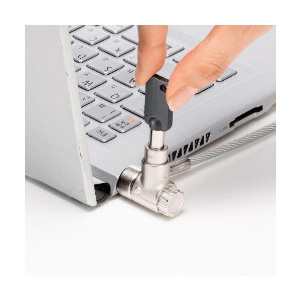 サンワサプライスロットマルチ対応セキュリティワイヤー （シリンダ錠・標準・NobleWedge・NanoSaver対応） SL-89 1個