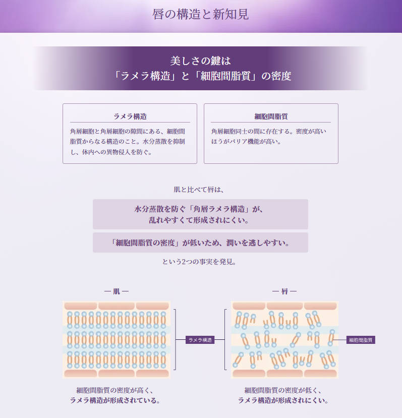 【国内正規品】 リポソーム アドバンスト リペアリップセラム 発売日2024/10/16 【国内正規品】 リポソーム アドバンスト リペアリップセラム 発売日2024/10/16