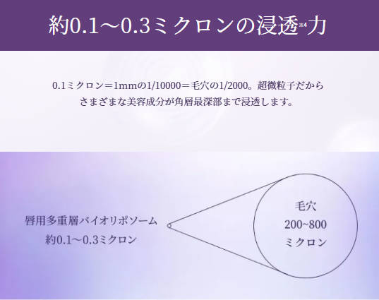 【国内正規品】 リポソーム アドバンスト リペアリップセラム 発売日2024/10/16 【国内正規品】 リポソーム アドバンスト リペアリップセラム 発売日2024/10/16