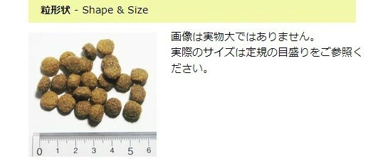 賞味期限５月３１日　ウィステリアアダルト 2kg アーガイルディッシュ 正規販売店 オーガニック ドックフード