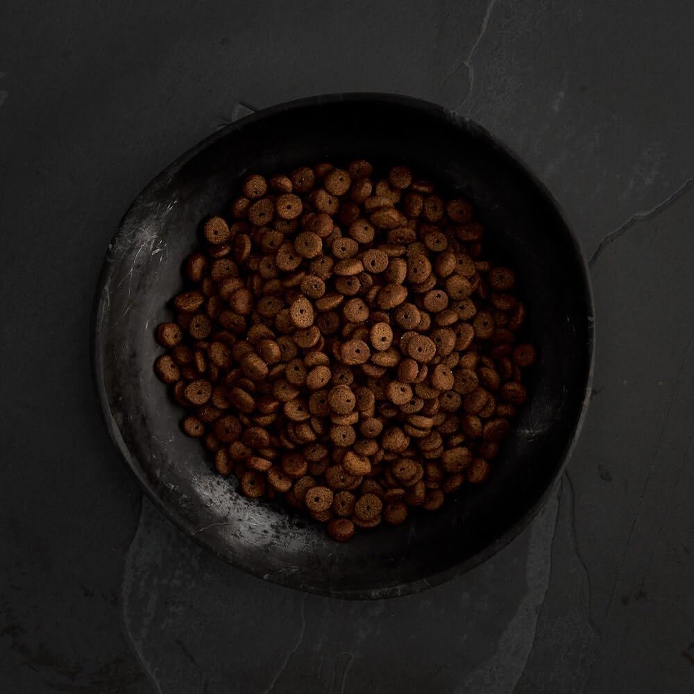 カナガン ドッグフード チキン (2kg) ドライフード 全犬種・全年齢 対応 【着色料・香料不使用 グレインフリー】 CANAGAN CDFC