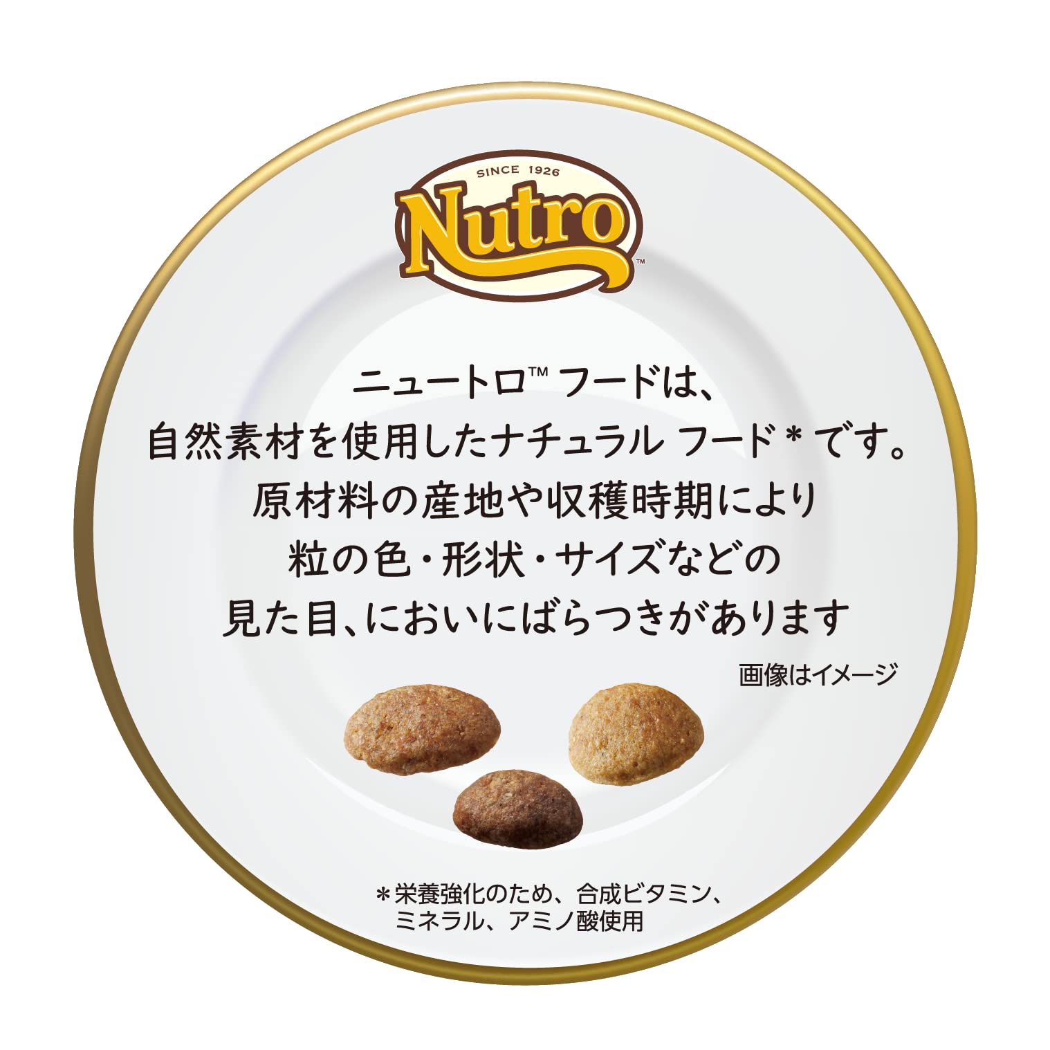 Nutro 小型犬用 チキン＆玄米 3kg 2袋 ニュートロナチュラルチョイス