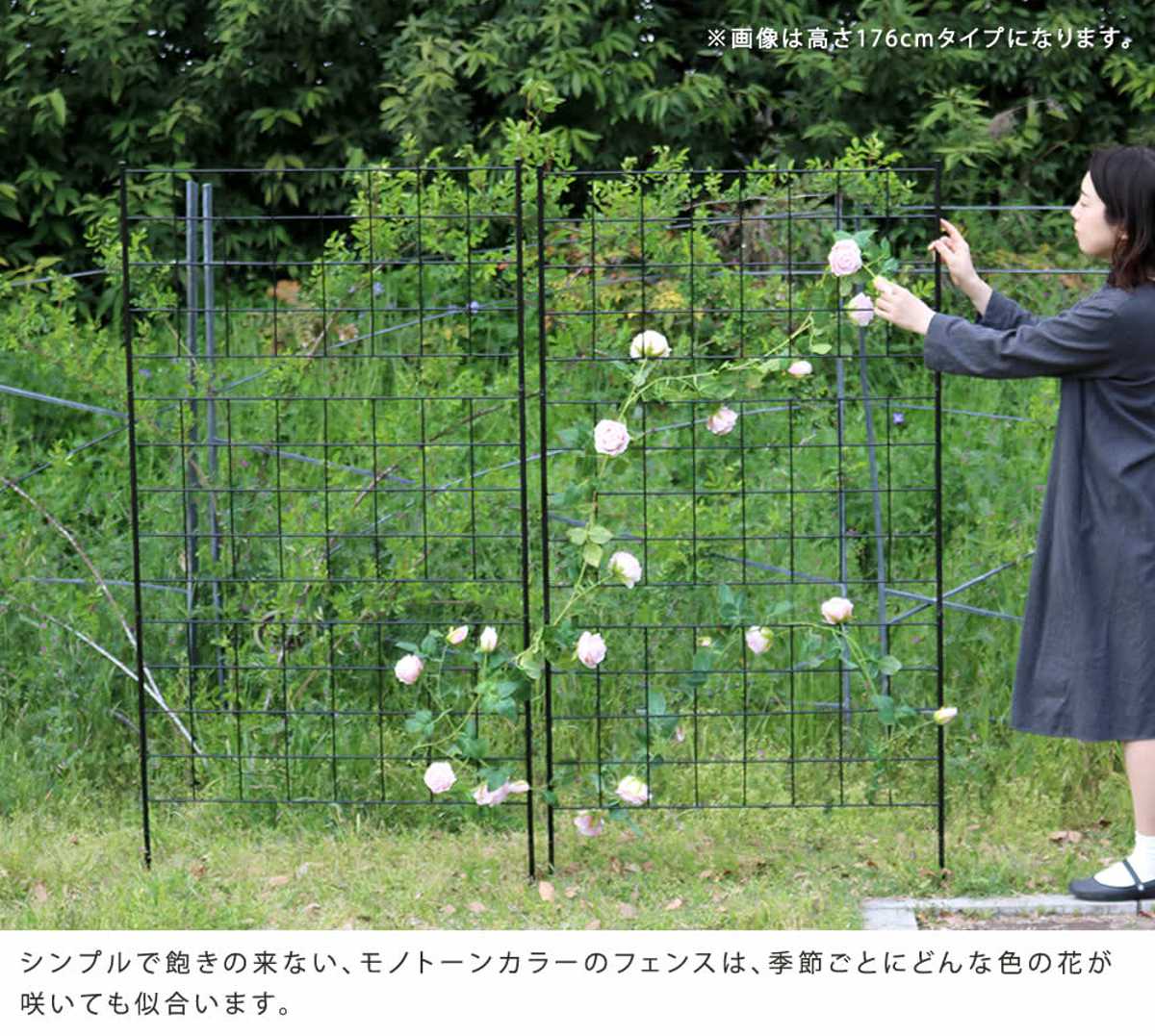 フェンス アイアンフェンス 高さ126cm グラフシリーズ 4枚組 ガーデンフェンス インテリア ガーデニング雑貨 アンティーク おしゃれ ガーデニング スチール ディスプレイ オブジェ 置物 フェンス アイアンフェンス 高さ126cm グラフシリーズ 4枚組 ガーデンフェンス インテリア ガーデニング雑貨 アンティーク おしゃれ ガーデニング スチール ディスプレイ オブジェ 置物