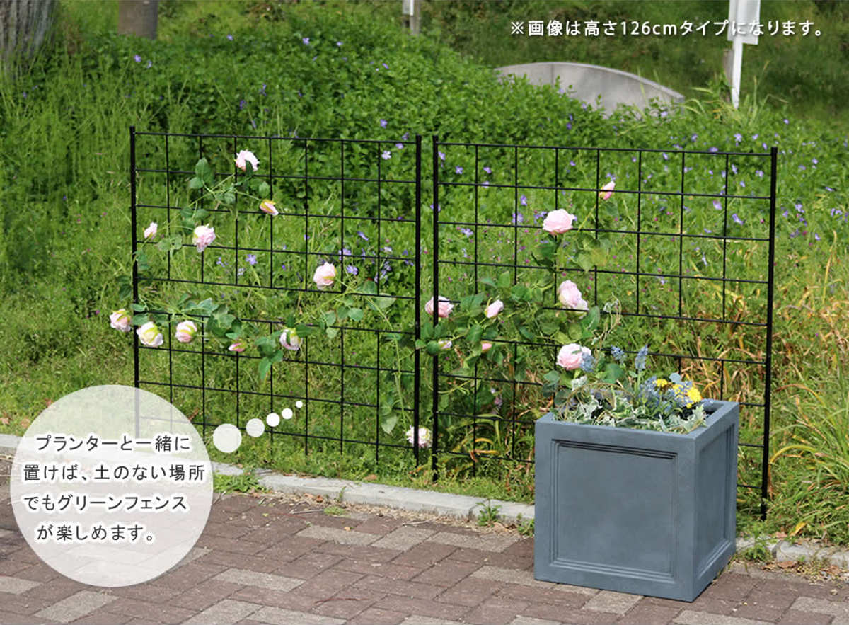 フェンス アイアンフェンス 高さ126cm グラフシリーズ 4枚組 ガーデンフェンス インテリア ガーデニング雑貨 アンティーク おしゃれ ガーデニング スチール ディスプレイ オブジェ 置物 フェンス アイアンフェンス 高さ126cm グラフシリーズ 4枚組 ガーデンフェンス インテリア ガーデニング雑貨 アンティーク おしゃれ ガーデニング スチール ディスプレイ オブジェ 置物