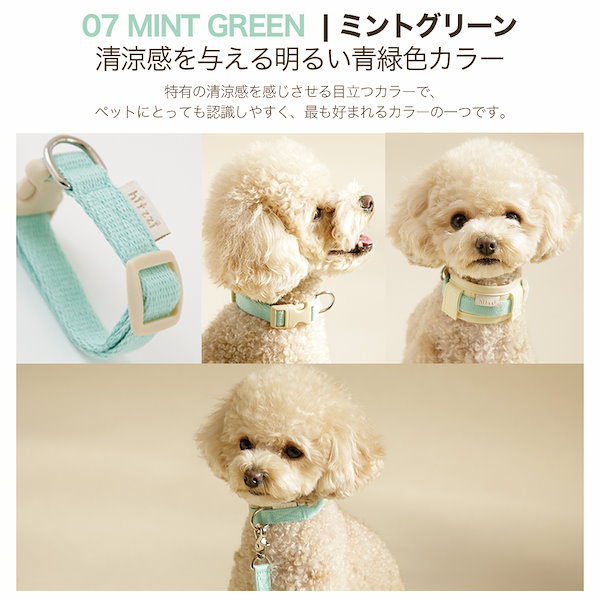 ティファニーTiffany 首輪 犬 正規品