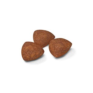 ロイヤルカナン SHNミニ インドア パピー(室内で生活する小型犬専用フード　子犬)2kg