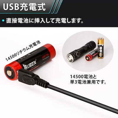 大人気 (国内正規品) USB 充電式 小型 L : 日用品雑貨 在庫あ即納