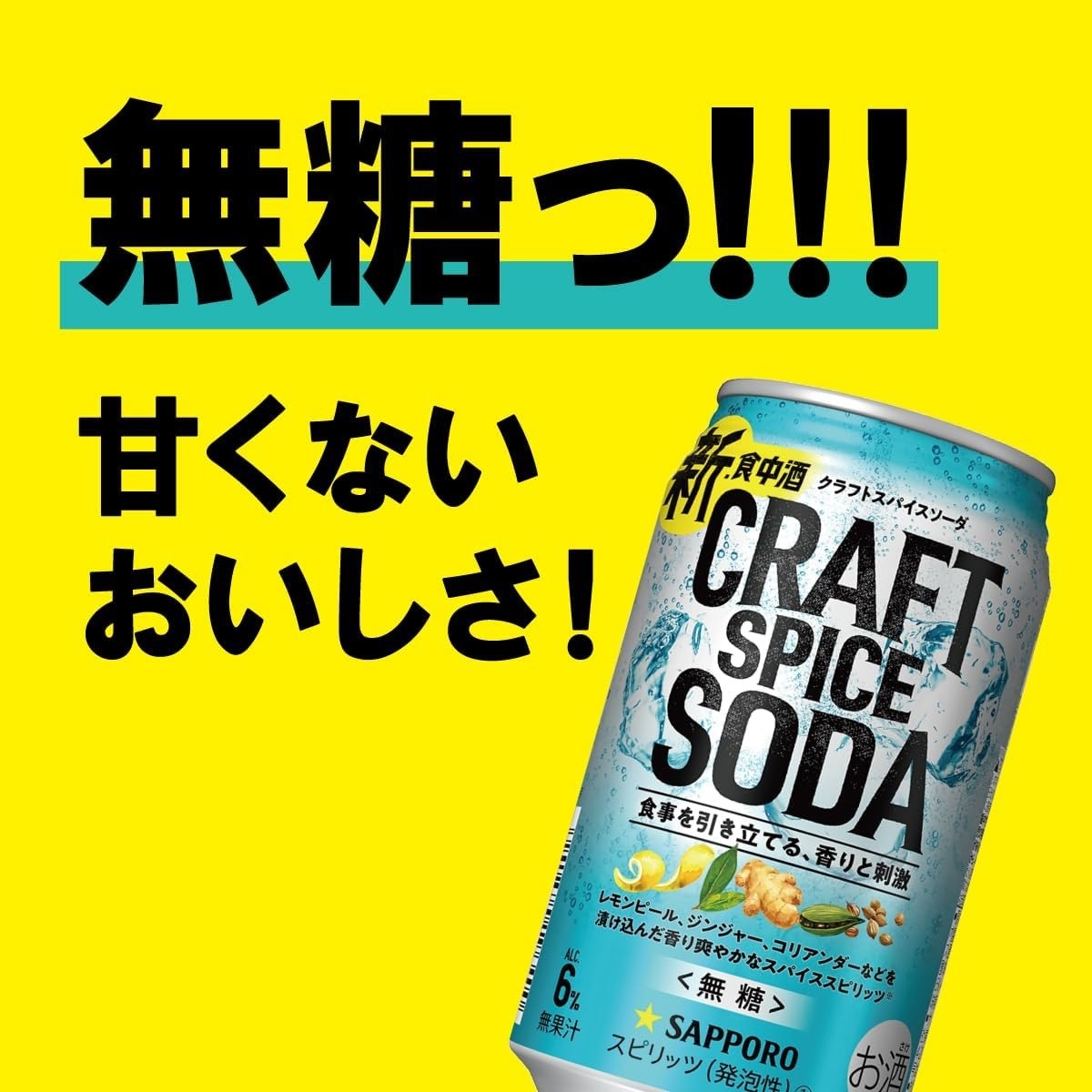 【送料無料】サッポロ クラフトスパイス ソーダ 350ml2ケース/48本【北海道沖縄県東北四国九州地方は必ず送料がかかります】 【送料無料】サッポロ クラフトスパイス ソーダ 350ml2ケース/48本【北海道沖縄県東北四国九州地方は必ず送料がかかります】