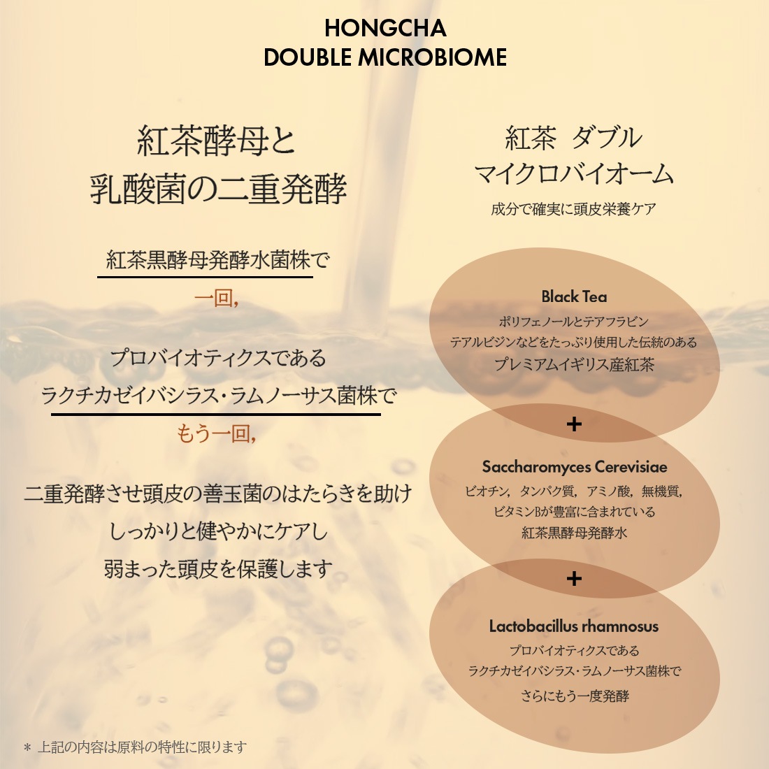 【ANILLO日本公式】 BLACK TEA ヘアケアSETシャンプー+トリートメント紅茶の恵みで上品なツヤ髪へ【数量限定価格】 【ANILLO日本公式】 BLACK TEA ヘアケアSETシャンプー+トリートメント紅茶の恵みで上品なツヤ髪へ【数量限定価格】