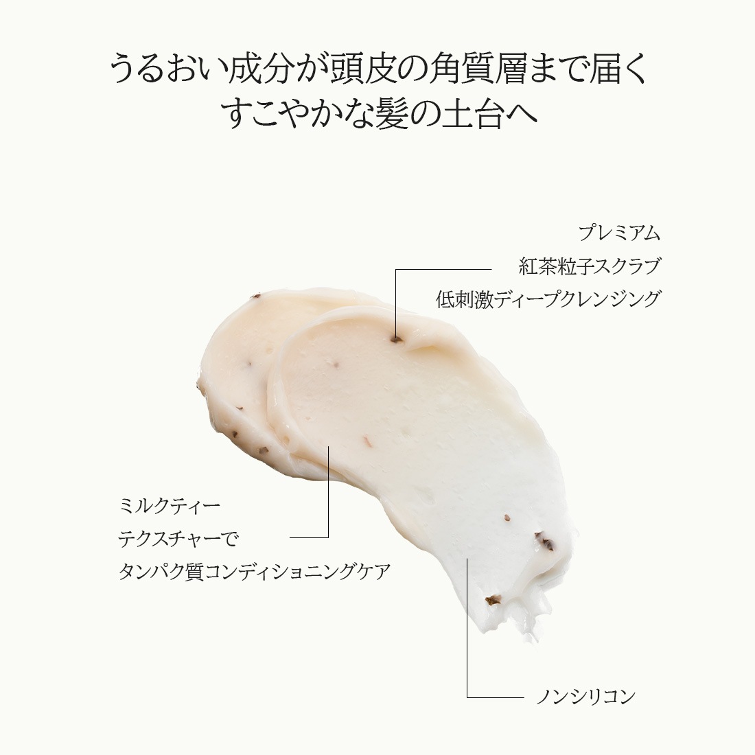 【ANILLO日本公式】 BLACK TEA ヘアケアSETシャンプー+トリートメント紅茶の恵みで上品なツヤ髪へ【数量限定価格】 【ANILLO日本公式】 BLACK TEA ヘアケアSETシャンプー+トリートメント紅茶の恵みで上品なツヤ髪へ【数量限定価格】