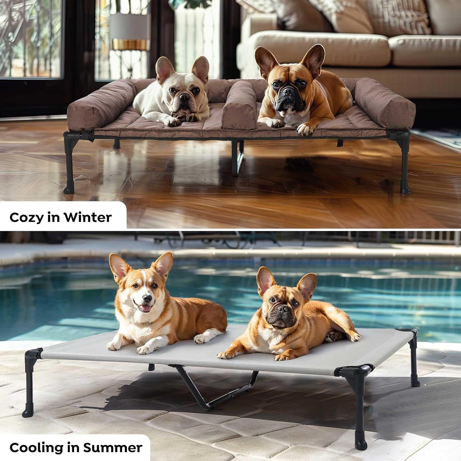 犬 ベッドドッグコット犬 コットのエレベーテッドドッグベッド + 中型犬用の取り外し可能なダブルドッグベッドクッション防水ボルスターマット付きのエレベーテッドドッグベッド通気性メッシュ滑り止