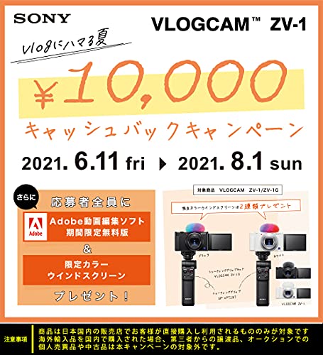 ソニー Vlog用カメラ VLOGCAM : カメラ : ソニー 格安大得価