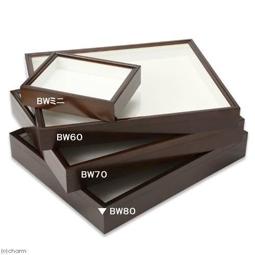 バードウィング製　ドイツ型標本箱　ＢＷ８０　（幅５０．７X奥行き４１．８X高さ８ｃｍ）　昆虫　標本用品　ＣＲＣ18―82―30―00―00