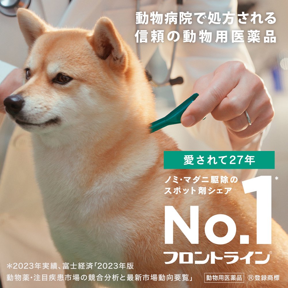 動物用医薬品 ドッグ M 6本 動物用医薬品 CRC40―81―00―00―00 動物用医薬品 ドッグ M 6本 動物用医薬品 CRC40―81―00―00―00