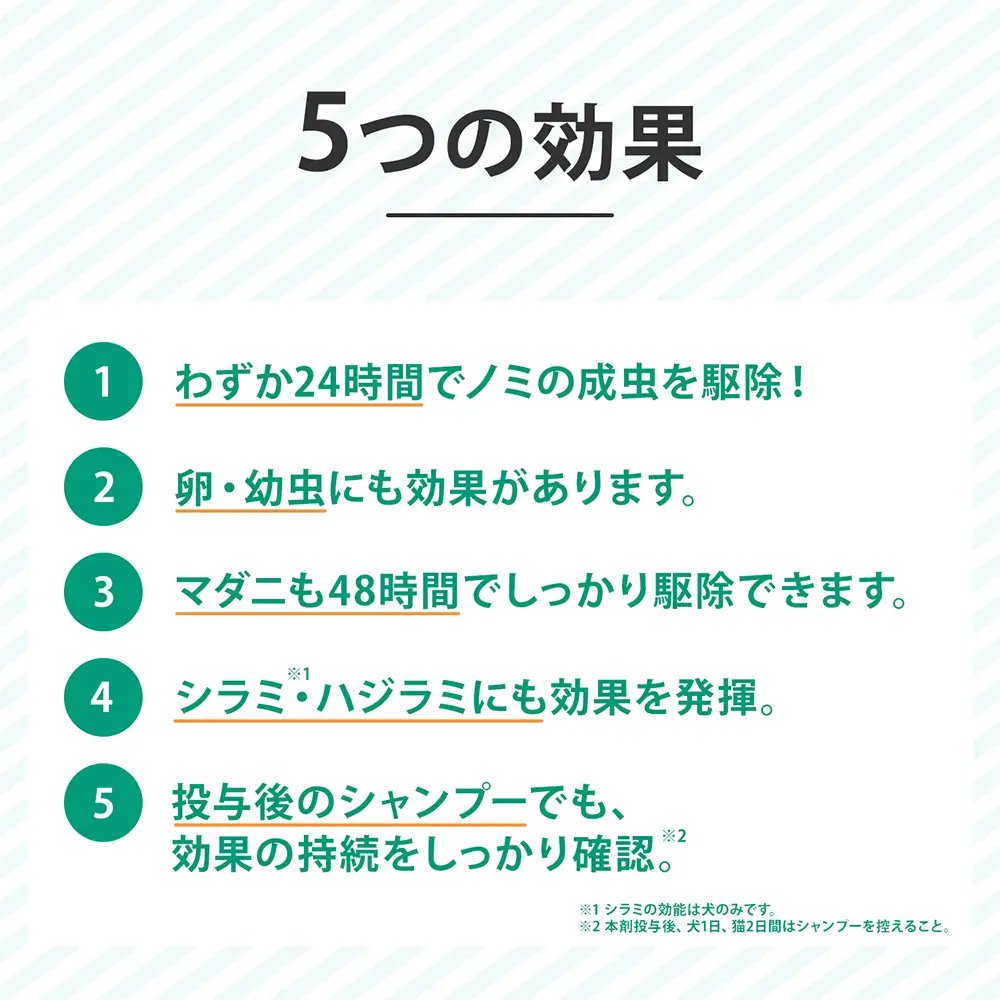 動物用医薬品 ドッグ M 6本 動物用医薬品 CRC40―81―00―00―00 動物用医薬品 ドッグ M 6本 動物用医薬品 CRC40―81―00―00―00