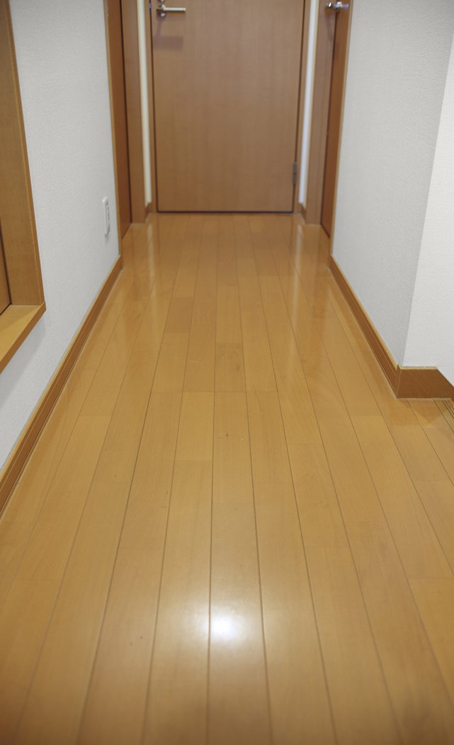 サンコー 廊下敷き マット カーペット はっ水 消臭 日本製 おくだけ吸着 ロングマット 60×300cm ブラウン KH-69