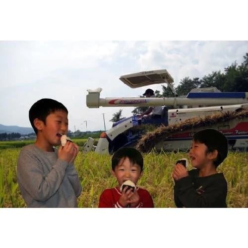 新潟県産　つきあかり 無洗米 5kg　令和６年産 新潟 米 無洗米5kg 高級米 おいしいお米 美味しいお米 産地直送 農家の米 コシヒカリの郷小出農場