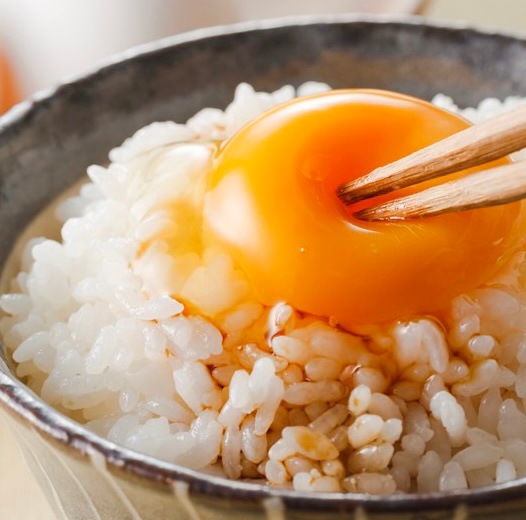 新潟県産　つきあかり 無洗米 5kg　令和６年産 新潟 米 無洗米5kg 高級米 おいしいお米 美味しいお米 産地直送 農家の米 コシヒカリの郷小出農場