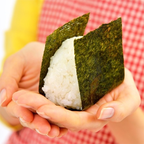 新潟県産　つきあかり 無洗米 5kg　令和６年産 新潟 米 無洗米5kg 高級米 おいしいお米 美味しいお米 産地直送 農家の米 コシヒカリの郷小出農場