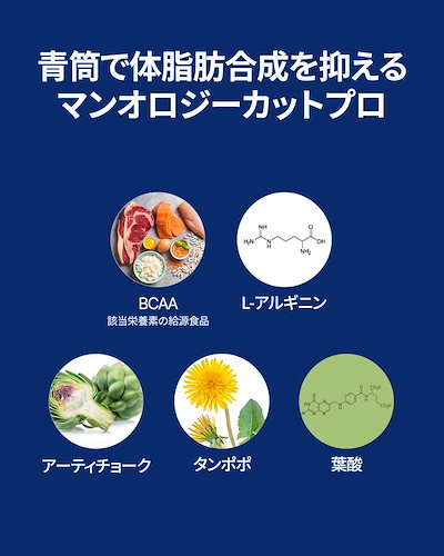 マンオロジー ダイエットサプリ 3本セット Qoo10] FOODOLOGY マンオロジーカット PRO 800mgX : 健康食品
