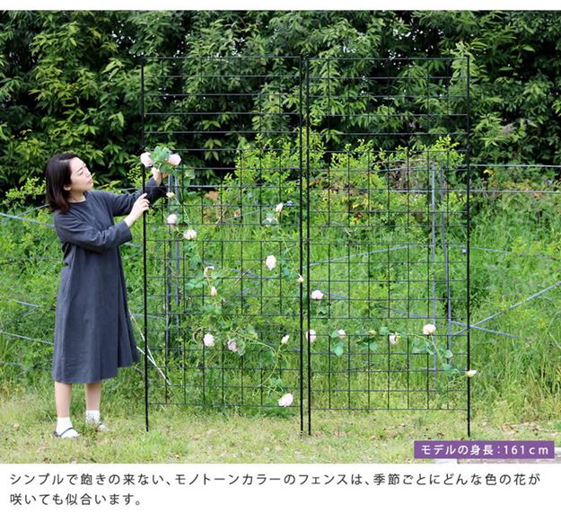 ガーデンフェンス アイアンフェンス DIY 挿し込み式 ハイタイプ 幅88.5 高さ226cm 1枚 グラフ グリーンカーテン