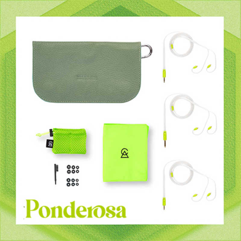 CAMPFIRE AUDIO イヤホン カナル型 Ponderosa CAM-5966 CAMPFIRE AUDIO イヤホン カナル型 Ponderosa CAM-5966