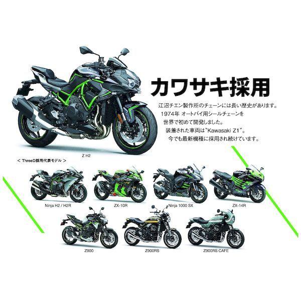 KARCHER バッテリーパワー 18V 2.5Ah 2.445-059.0 江沼チェーン 4571291794979 EK チェーン THREED 520Z BK／GP