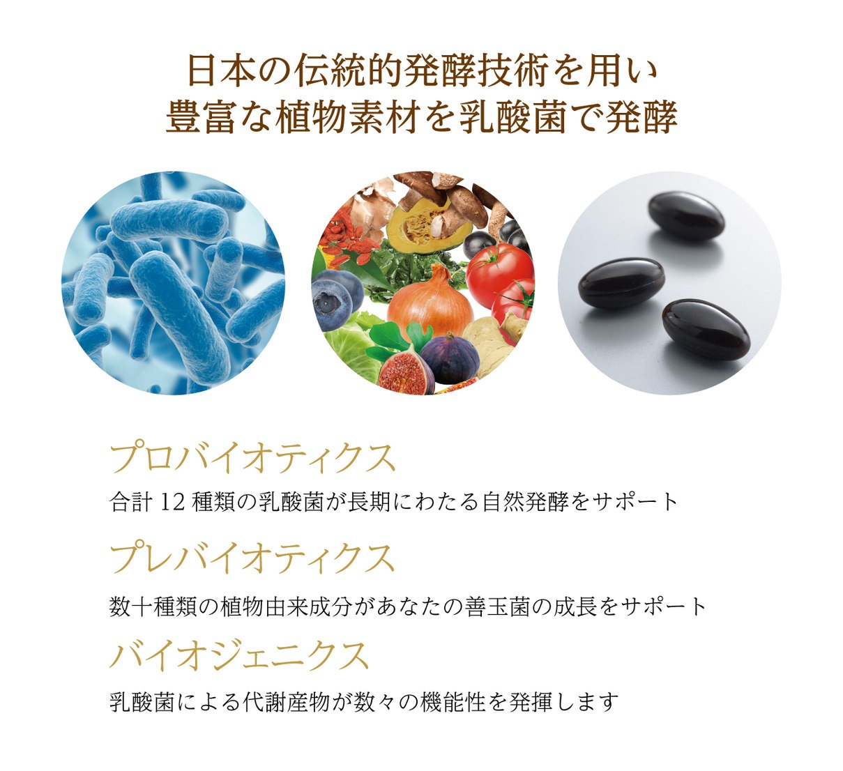 OM-X デラックス5 DELUXE5 100粒　２個セット 乳酸菌　高機能　プロバイオティクス　サプリ　腸活　腸年齢　5年間自然発酵熟成 ビフィズス菌　植物繊維　国産　ソフトカプセル