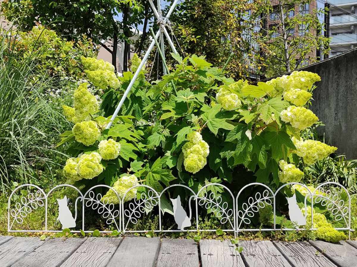 アイアンフェンス ミニ 猫 10枚組 ガーデンフェンス アイアン 柵 園芸 エクステリア 雑貨 ねこ ネコ 花壇 庭 ベランダ バルコニー ガーデニング アイアンガーデンフェンス トレリス