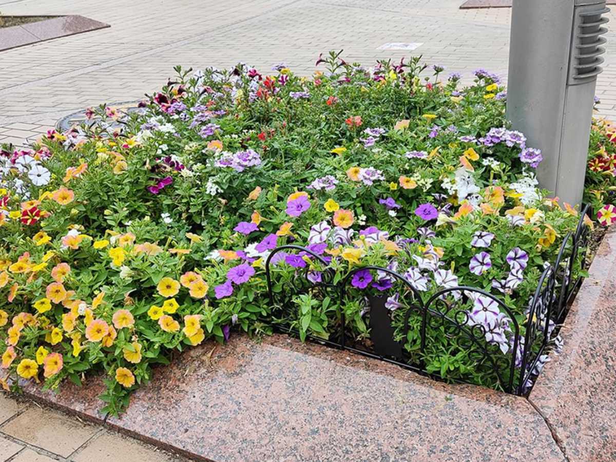 アイアンフェンス ミニ 猫 10枚組 ガーデンフェンス アイアン 柵 園芸 エクステリア 雑貨 ねこ ネコ 花壇 庭 ベランダ バルコニー ガーデニング アイアンガーデンフェンス トレリス