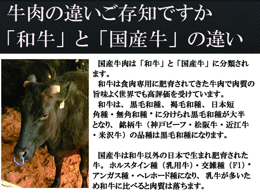 訳あり 切り落とし 黒毛和牛 ヒレ 焼肉 500g 牛肉 国産 牛ヒレ 牛ヘレ 赤身肉 わけあり