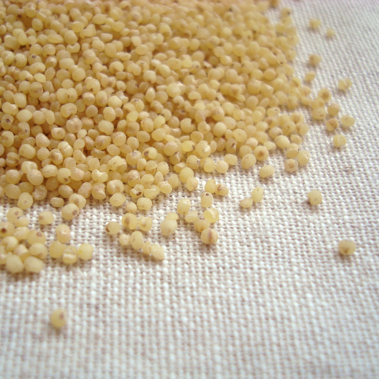 うるちひえ 1kg×2 北海道産 チャック付き 倉庫直送 うるちひえ 1kg×2 北海道産 チャック付き 倉庫直送