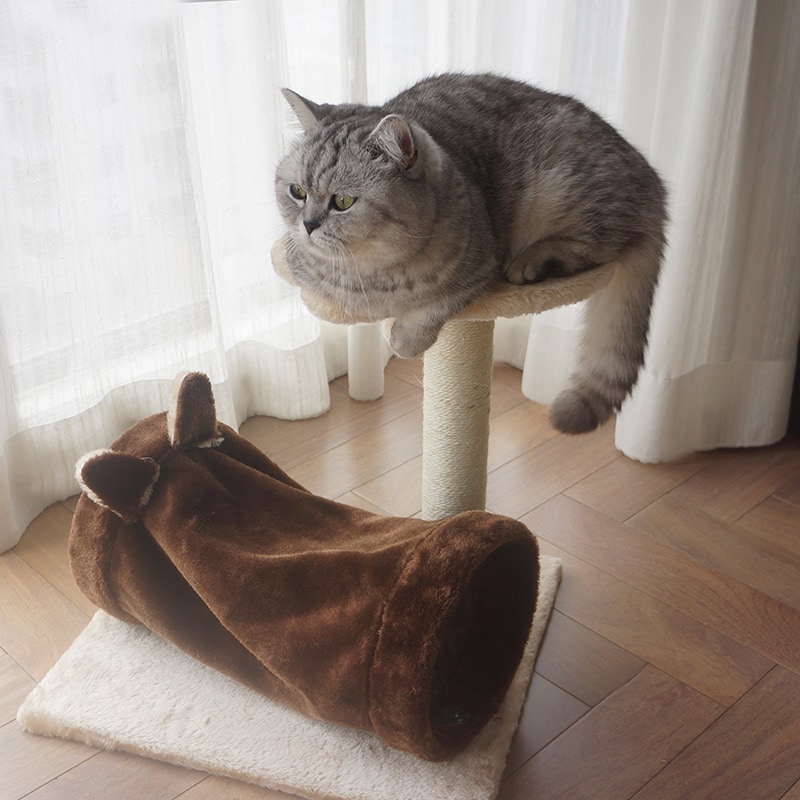 キャットタワー 据え置き 猫タワー 猫爪とぎ 猫ハウス キャットハウス 置き型 ボールおもちゃ付き 爪とぎ ペット用品 運動不足対策 おしゃれ INS 可愛い 誕生日 プレゼント