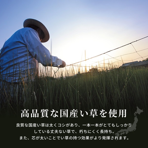 国産い草 ラグマット（裏貼り） 約191x191cm ベージュ] 日本製 『右京 うきょう』