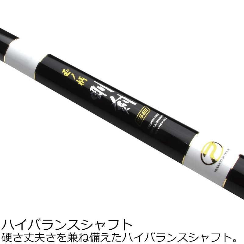 プロックス ITGKS100 磯玉の柄剛剣SE 1000 9.9m ITGKS100PROX