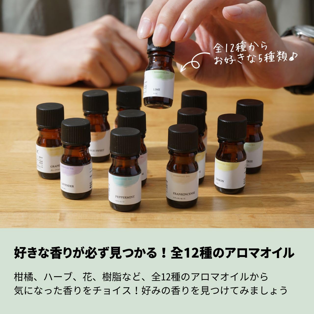 生活の木 エッセンシャルオイル 5ml 12本セット アロマオイル 天然 精油 ブレンド ギフト