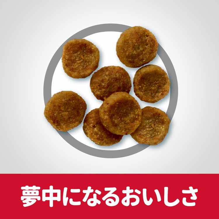 犬 ヒルズ アダルト 小型犬用 5kg 成犬用 16歳 ドッグフード ドライ いぬ イヌ ドッグ ごはん スモール サイエンスダイエット Hill s