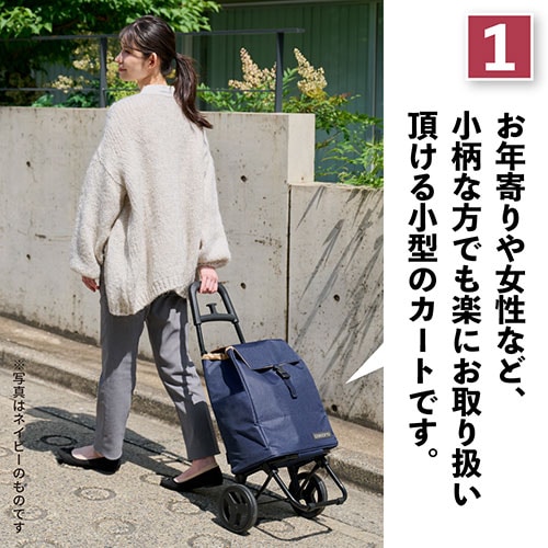 誰でもらくらく使える小型カート ココロスモールネオ カートS カーキ