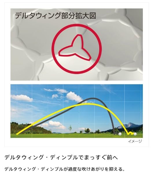 BRIDGESTONE(ブリヂストン)ゴルフボール SUPER STRAIGHT 2025年モデル 12球入 パールホワイト T5GX