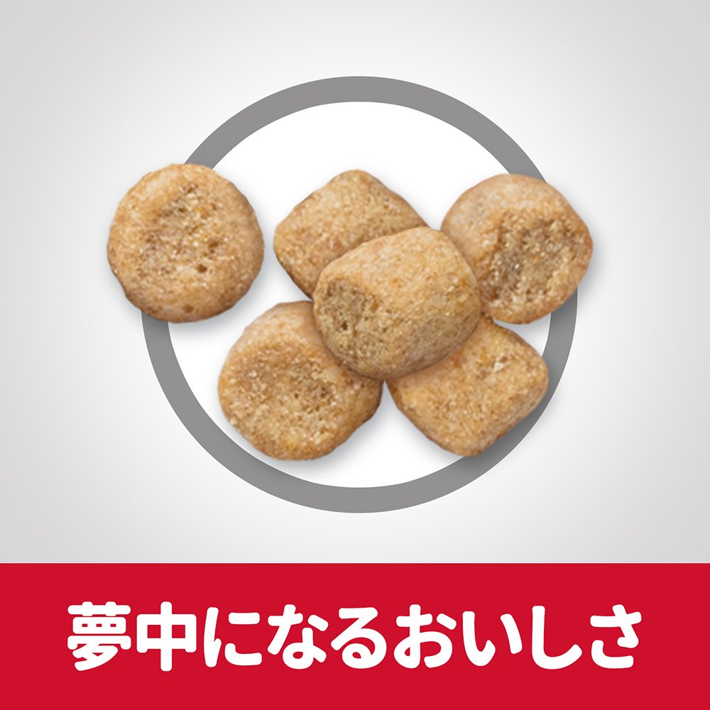 キャットフード　サイエンスダイエット　シニア　７歳以上　チキン　２．８ｋｇ　＋　シニアライト　チキン　２．８ｋｇ　ヒルズ　猫　ＣＲＣ35―15―32―10―20