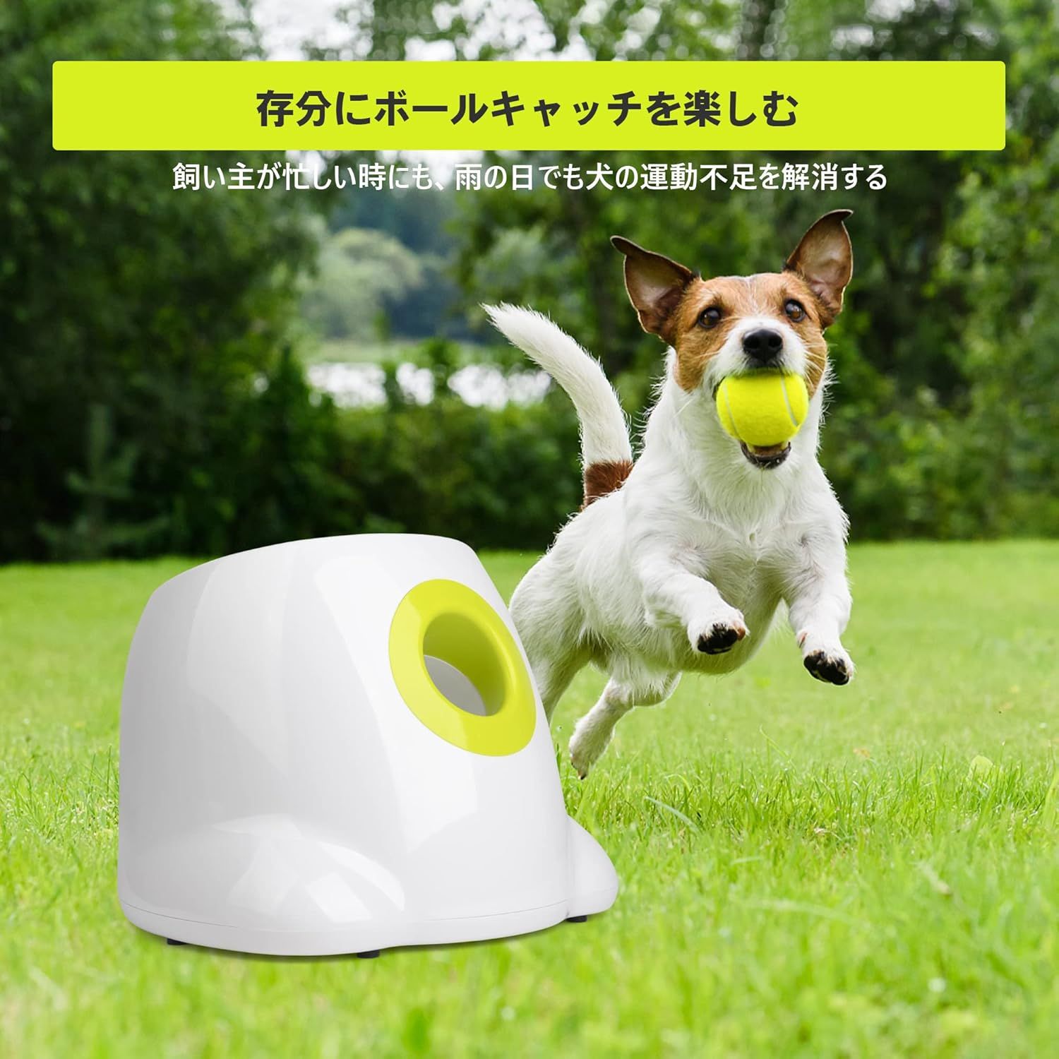 犬 ボールランチャー おもちゃ 自動 ボール投げ 犬用 ロボピッチャ 発射距離3段階調整可能 自動ボールキャッチ 専用のミニテニスボール3個付 小型犬~中型犬用 知育玩具 犬 ボールランチャー おもちゃ 自動 ボール投げ 犬用 ロボピッチャ 発射距離3段階調整可能 自動ボールキャッチ 専用のミニテニスボール3個付 小型犬~中型犬用 知育玩具