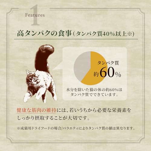 nutro ニュートロ キャット ワイルド レシピ キトン チキン 子猫用 2kg キャットフード グレインフリー nutro ニュートロ キャット ワイルド レシピ キトン チキン 子猫用 2kg キャットフード グレインフリー