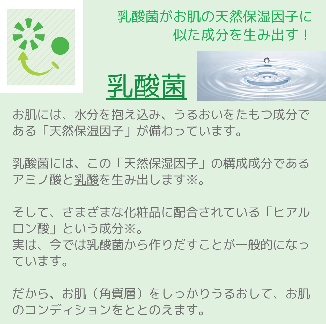 ラクトール 150ml 酵素 プラチナナノロコイド スキンケア 活性酸素 しみ改善 乳酸菌 ヒアルロン酸 発酵うるおい酵素
