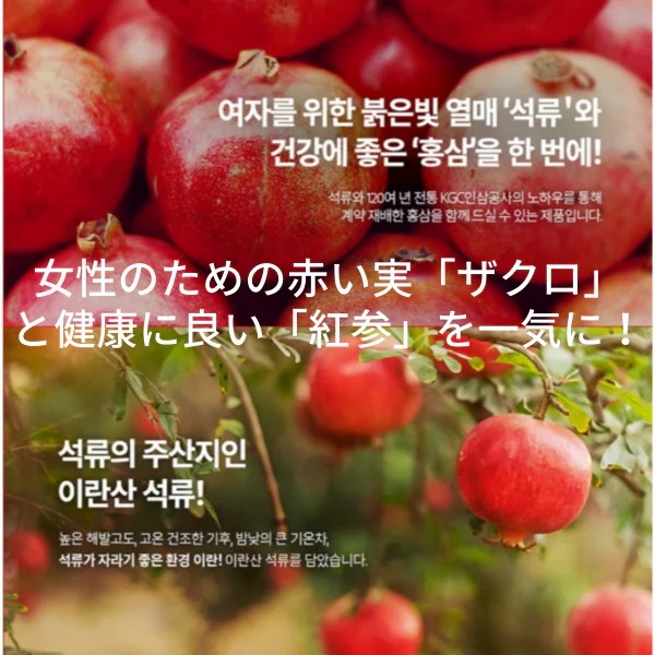 [2EA]グッドベース紅参を入れたザクロスティック/ 10ml*30包